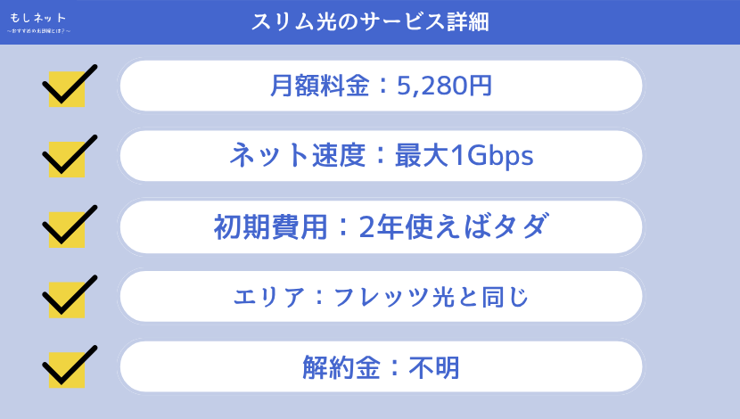 スリム光のサービス詳細